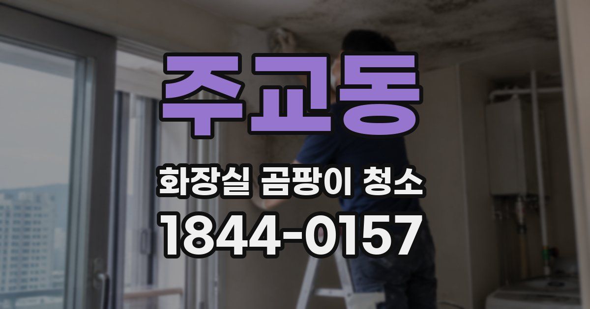 주교동 화장실 곰팡이 청소