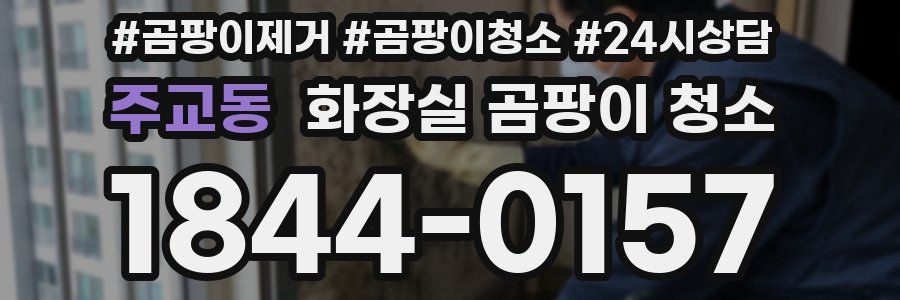 주교동 화장실 곰팡이 청소