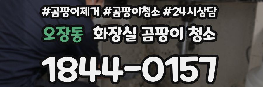 오장동 화장실 곰팡이 청소