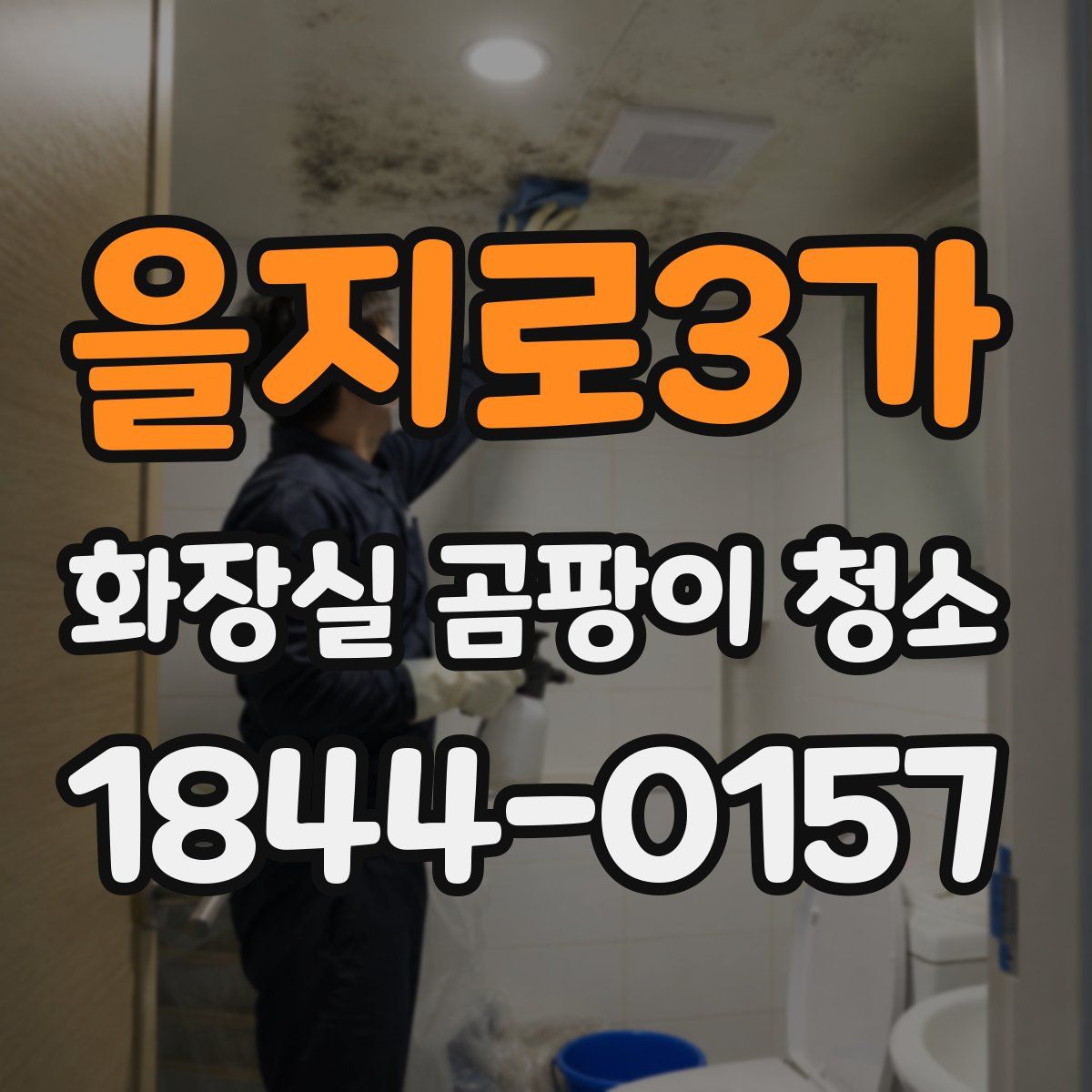 을지로3가 화장실 곰팡이 청소