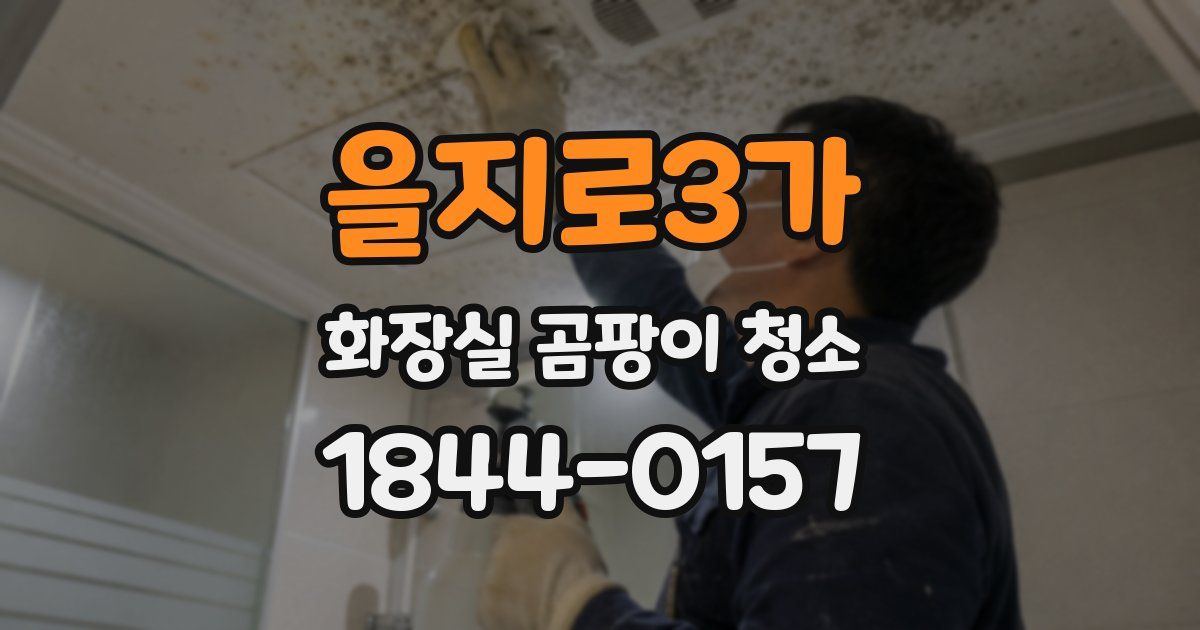 을지로3가 화장실 곰팡이 청소