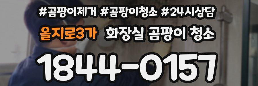 을지로3가 화장실 곰팡이 청소