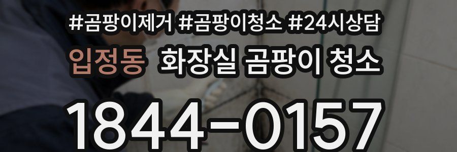 입정동 화장실 곰팡이 청소