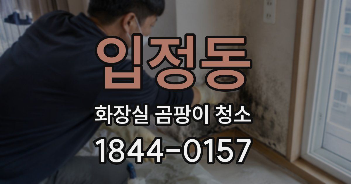 입정동 화장실 곰팡이 청소