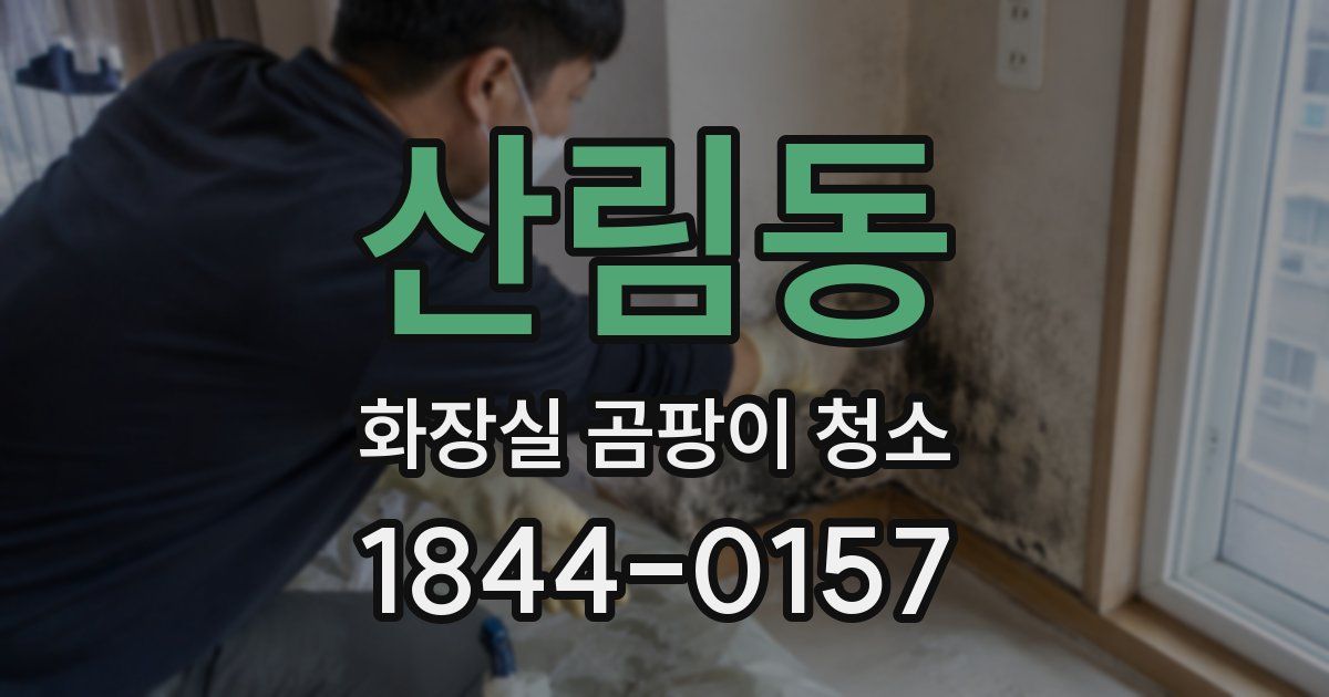 산림동 화장실 곰팡이 청소
