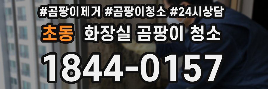 초동 화장실 곰팡이 청소