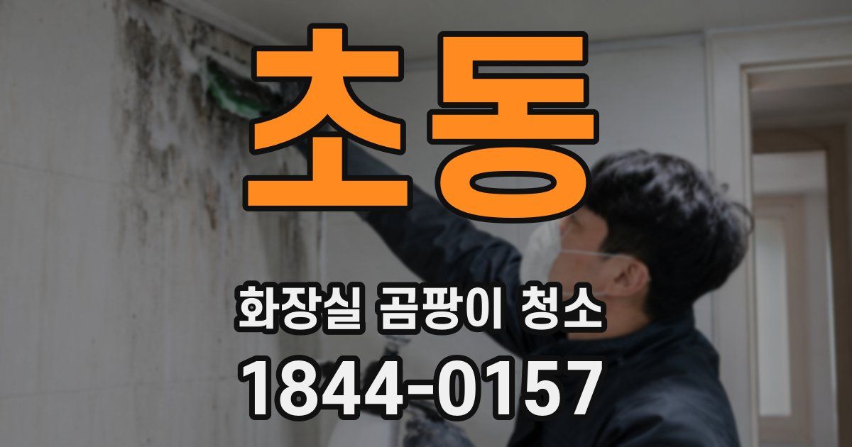 초동 화장실 곰팡이 청소