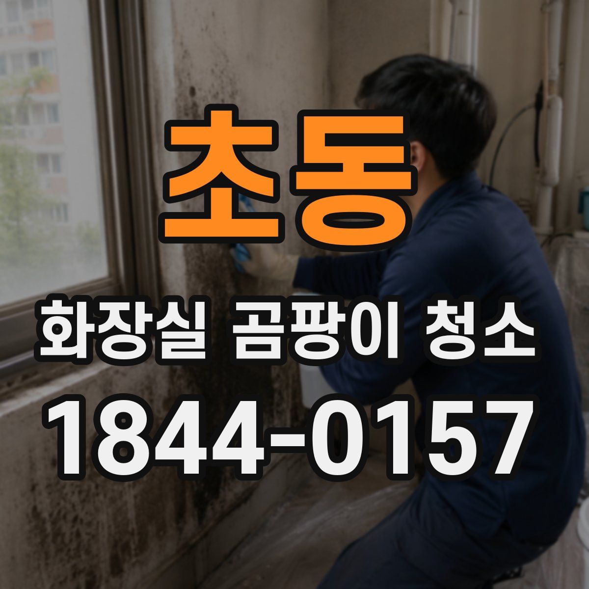초동 화장실 곰팡이 청소