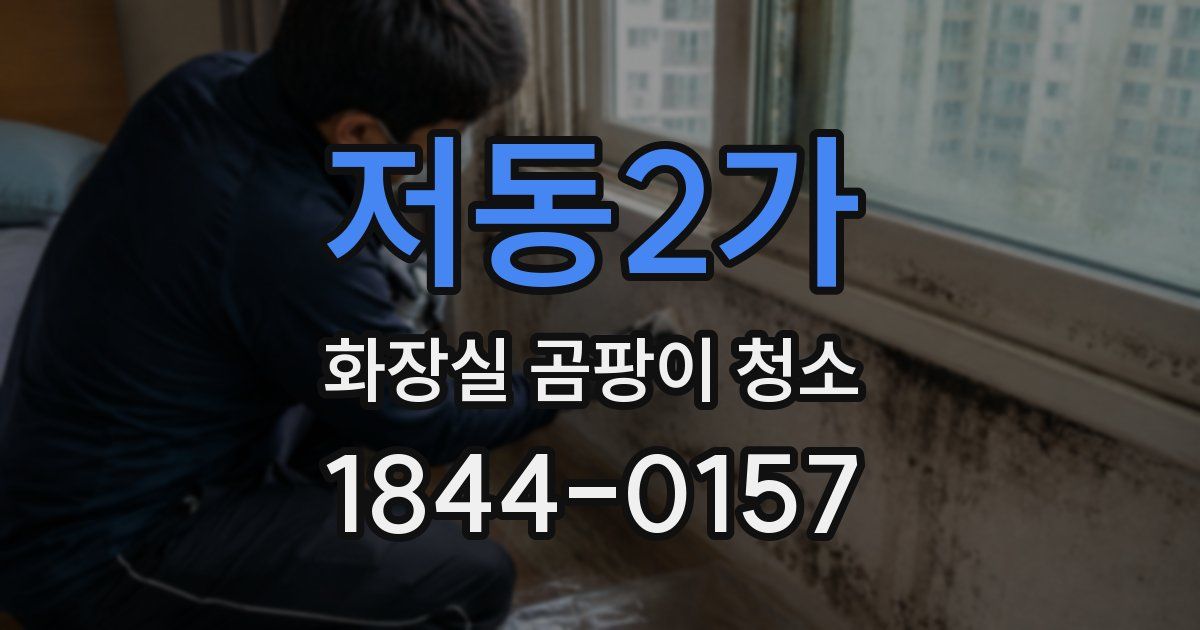 저동2가 화장실 곰팡이 청소