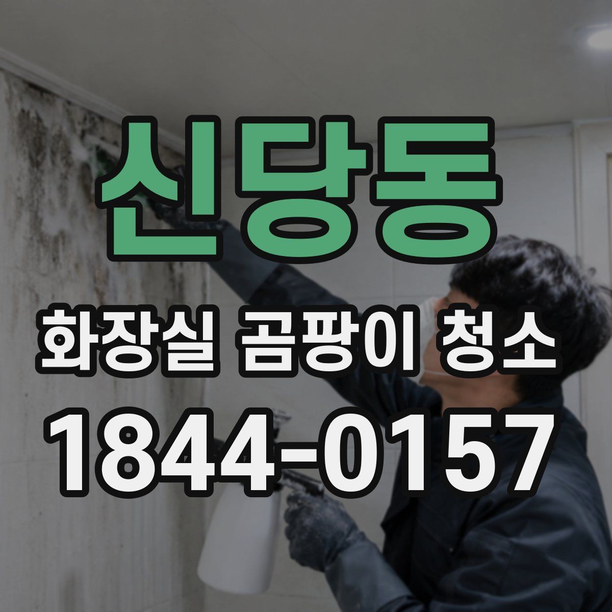 신당동 화장실 곰팡이 청소