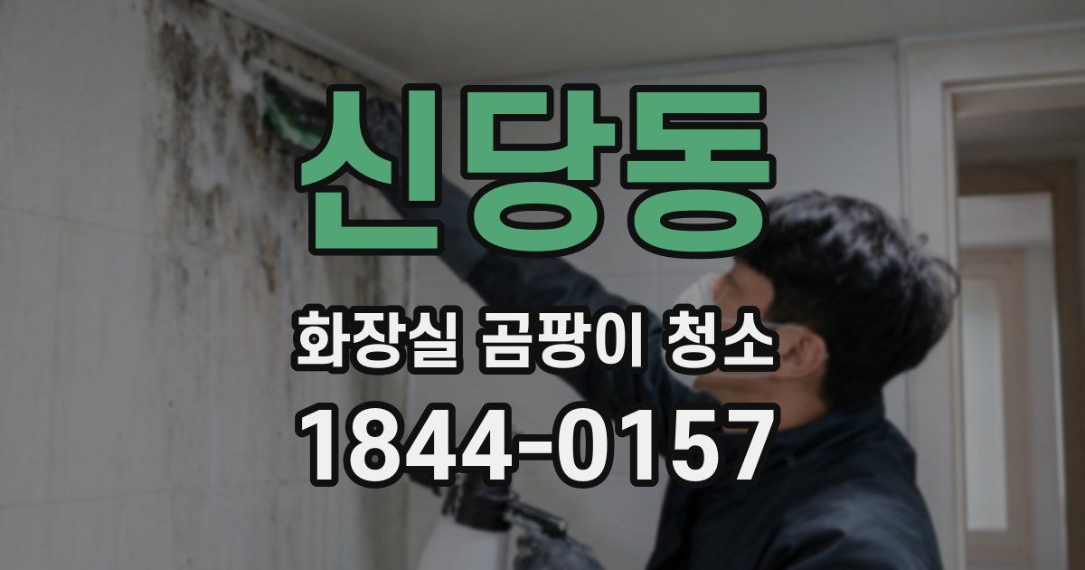 신당동 화장실 곰팡이 청소