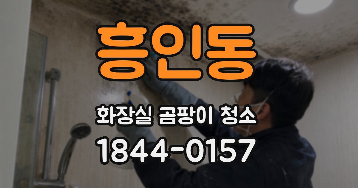 흥인동 화장실 곰팡이 청소