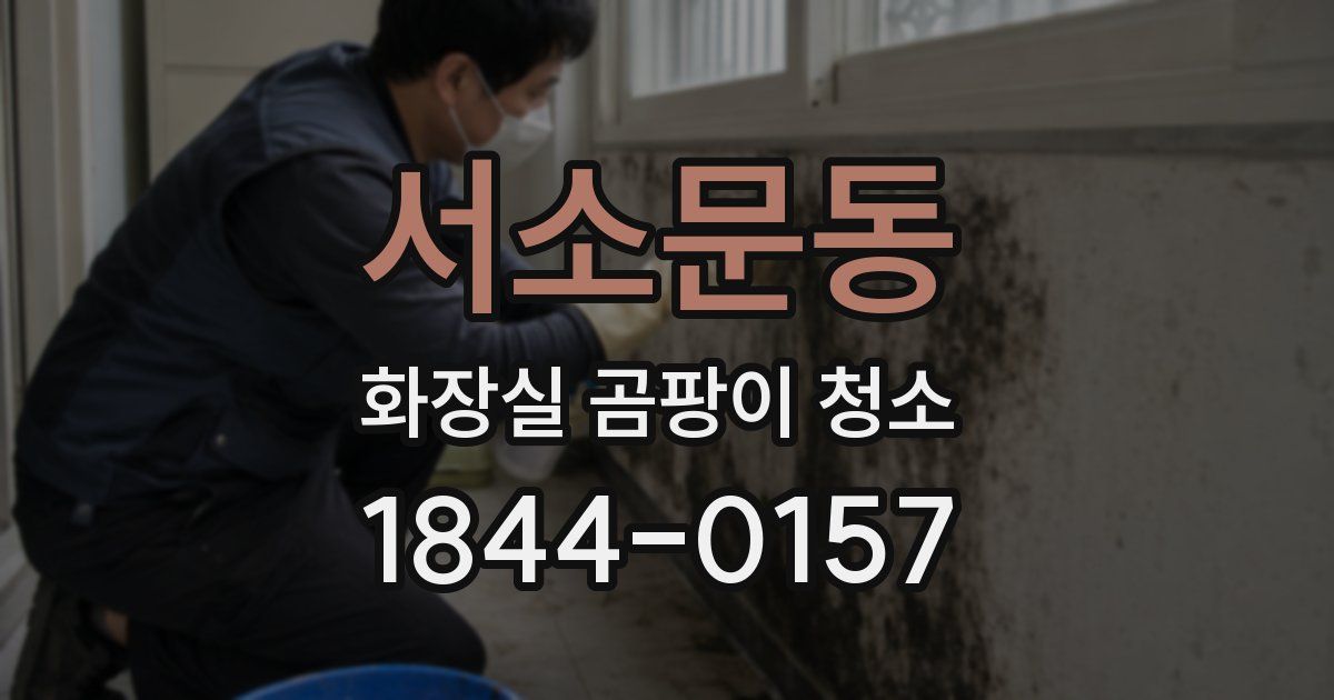 서소문동 화장실 곰팡이 청소