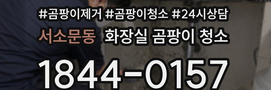 서소문동 화장실 곰팡이 청소
