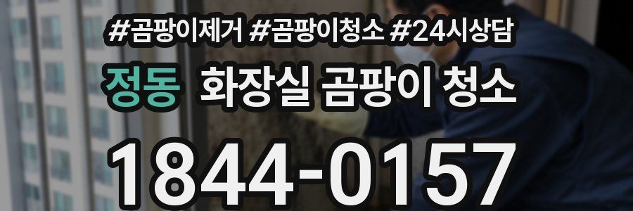 정동 화장실 곰팡이 청소