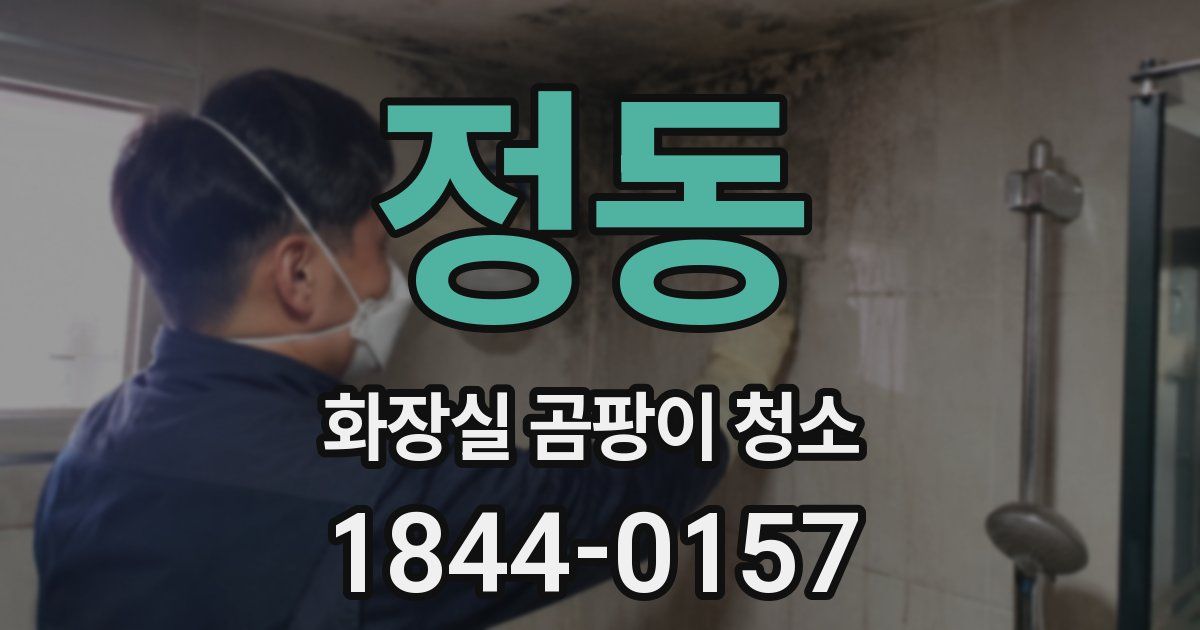 정동 화장실 곰팡이 청소
