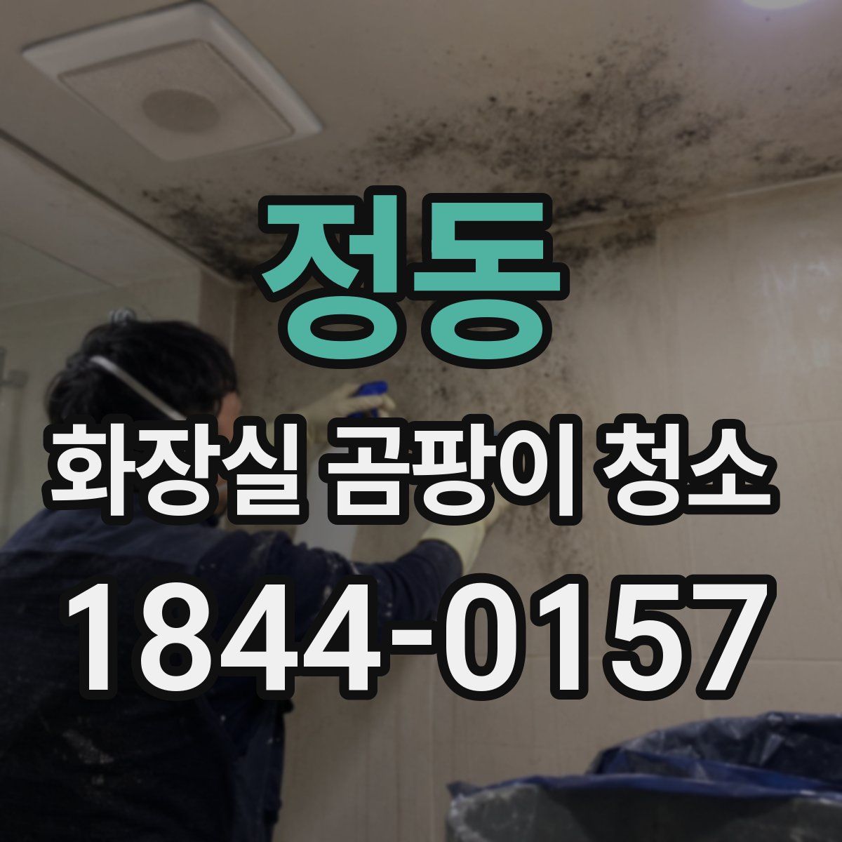 정동 화장실 곰팡이 청소