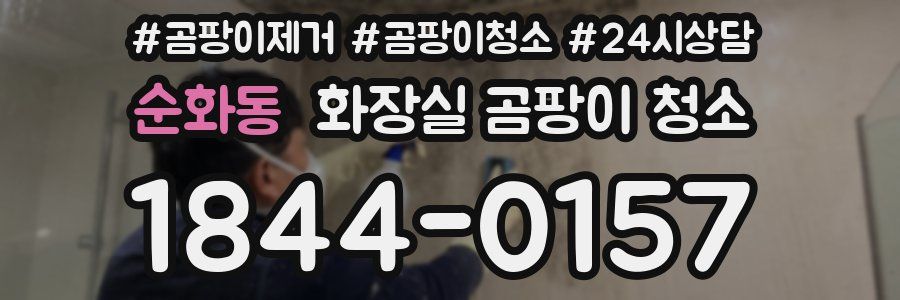 순화동 화장실 곰팡이 청소