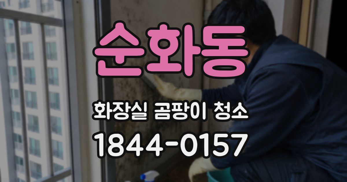 순화동 화장실 곰팡이 청소