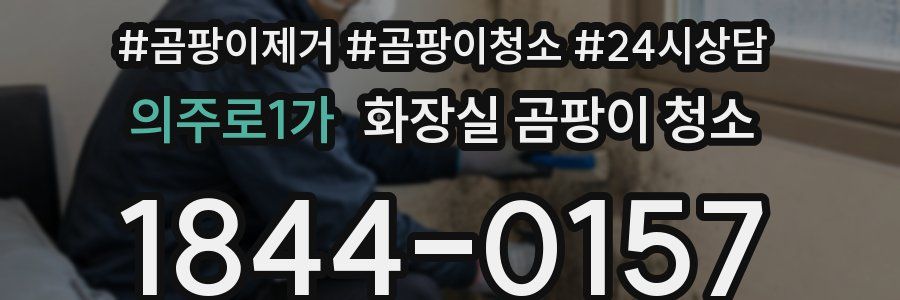 의주로1가 화장실 곰팡이 청소