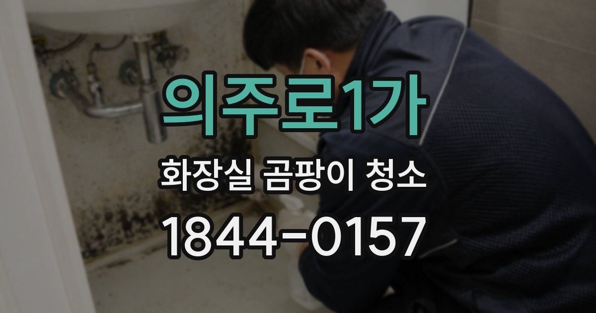 의주로1가 화장실 곰팡이 청소