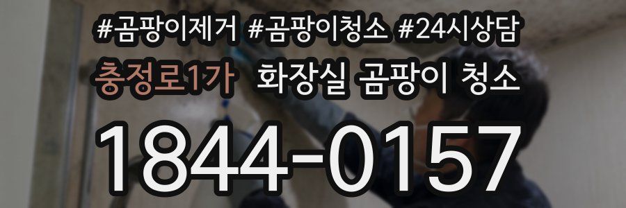 충정로1가 화장실 곰팡이 청소