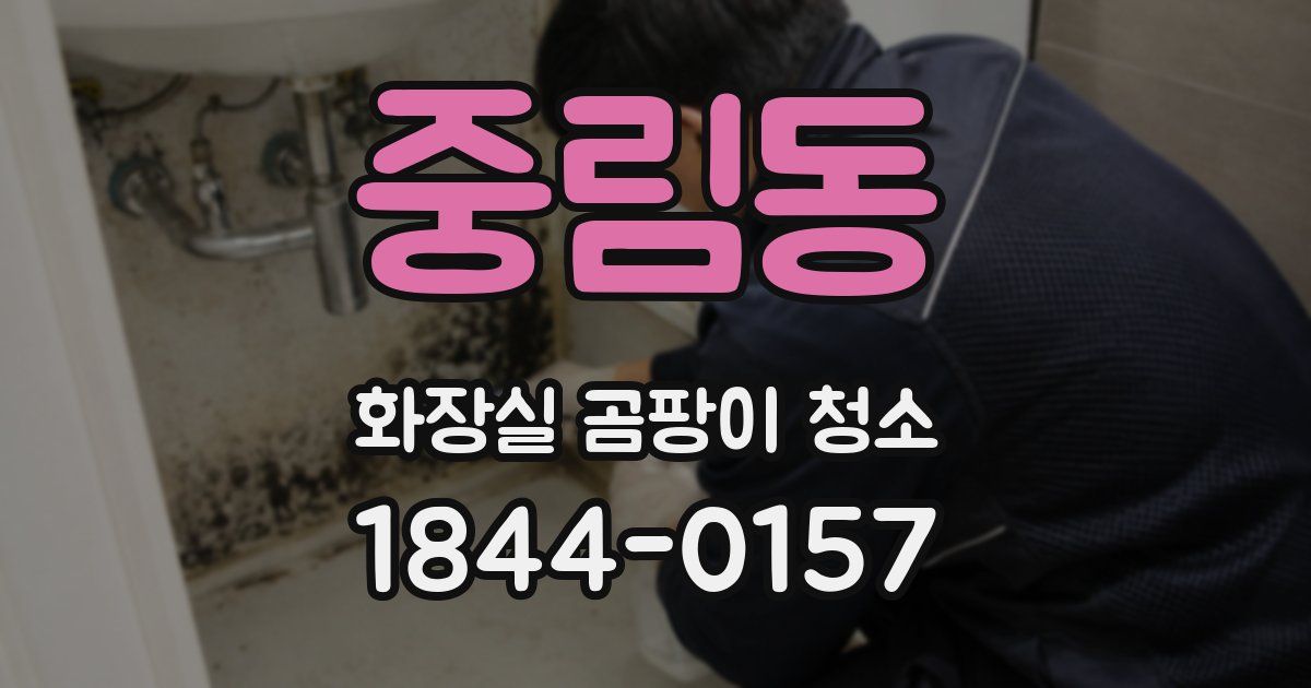 중림동 화장실 곰팡이 청소