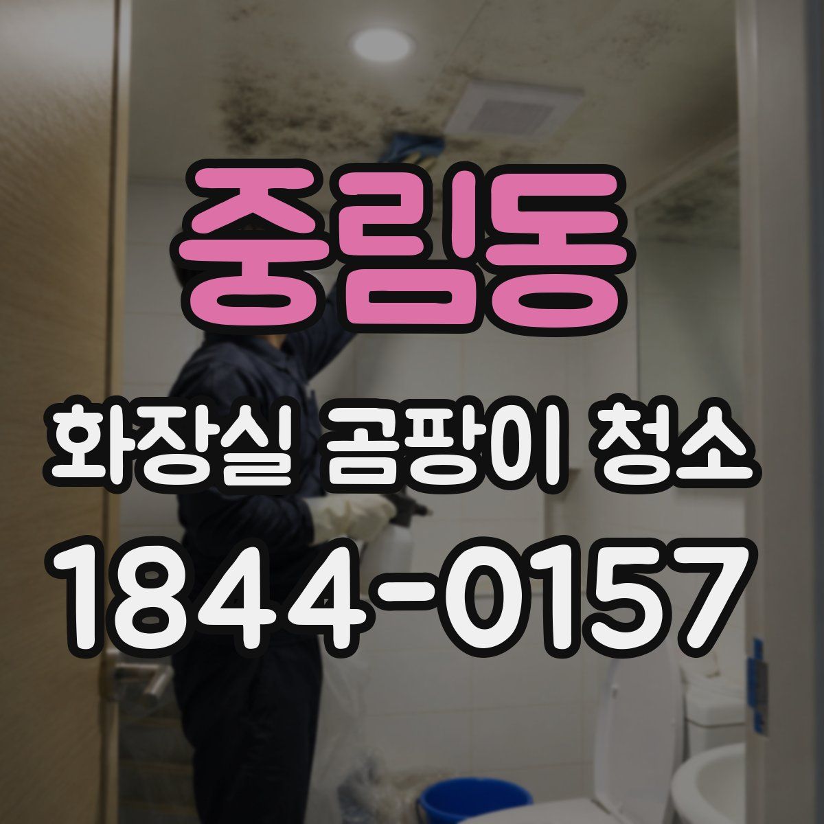 중림동 화장실 곰팡이 청소