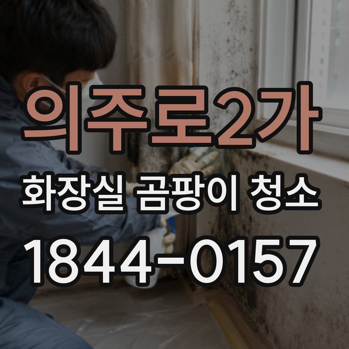 의주로2가 화장실 곰팡이 청소