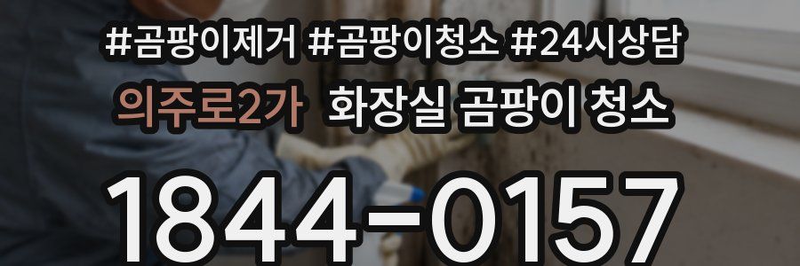 의주로2가 화장실 곰팡이 청소
