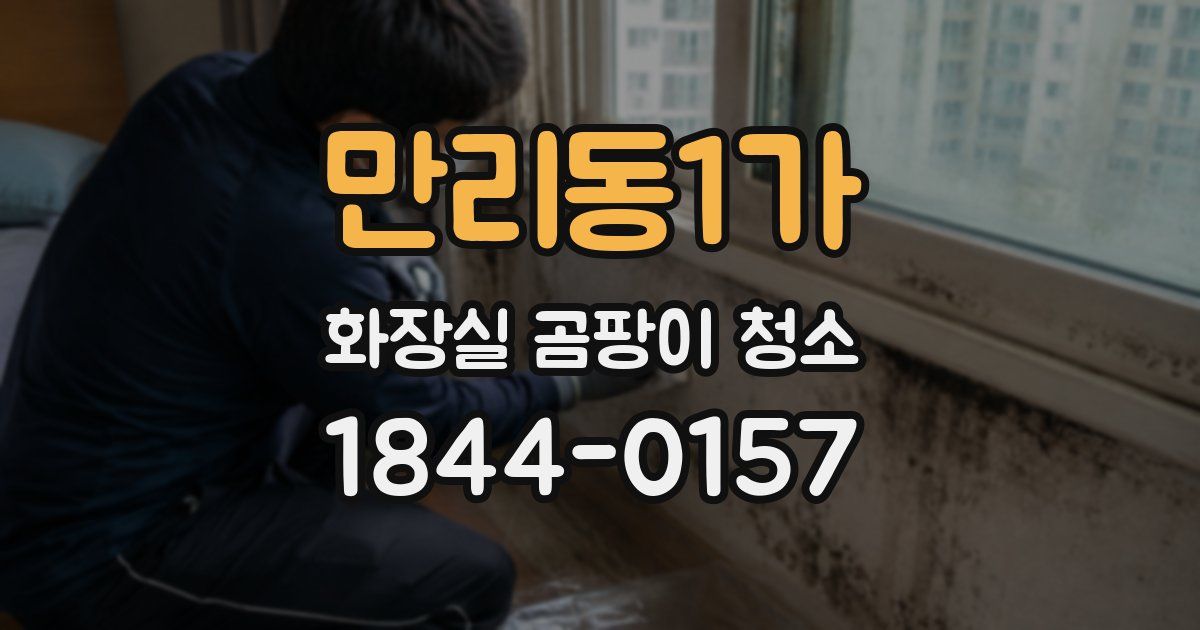 만리동1가 화장실 곰팡이 청소
