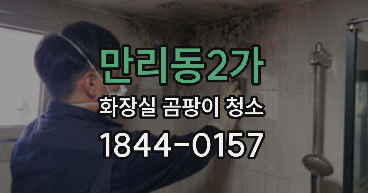 만리동2가 화장실 곰팡이 청소