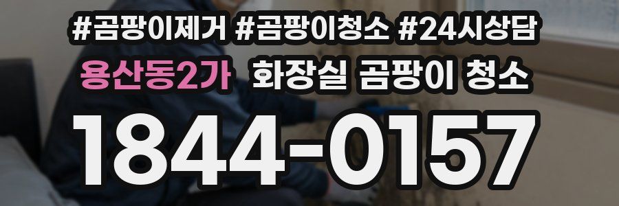 용산동2가 화장실 곰팡이 청소