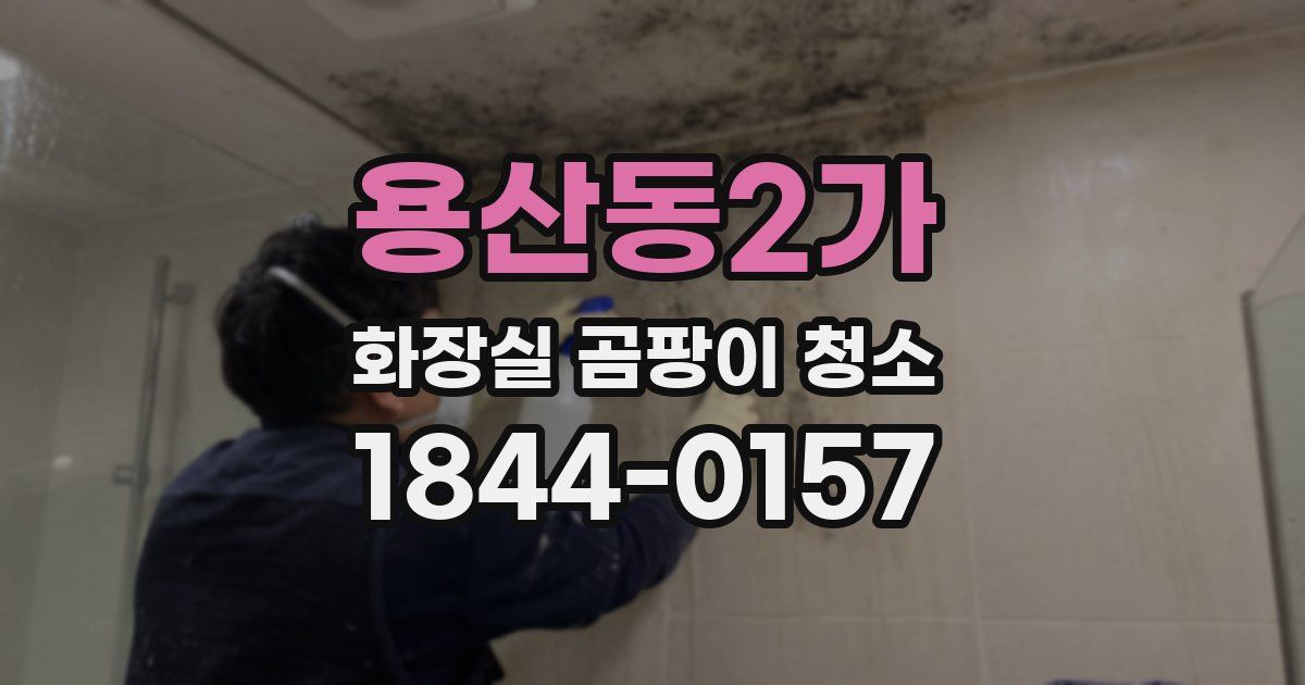 용산동2가 화장실 곰팡이 청소