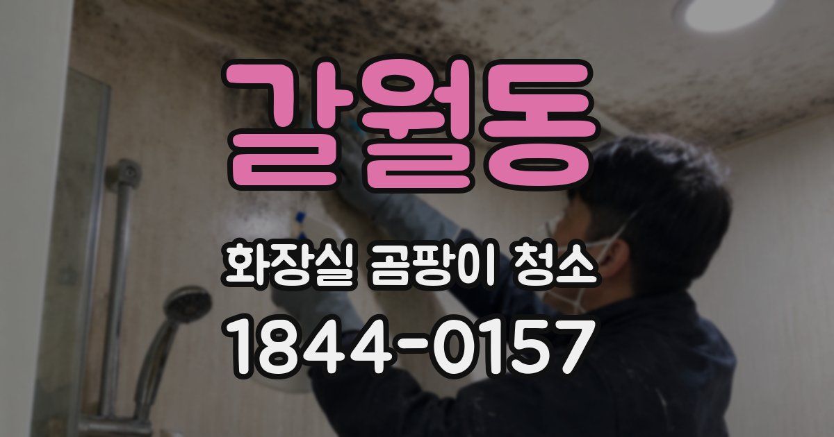 갈월동 화장실 곰팡이 청소