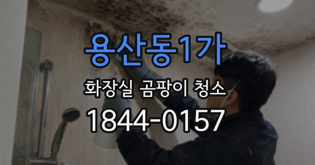 용산동1가 화장실 곰팡이 청소