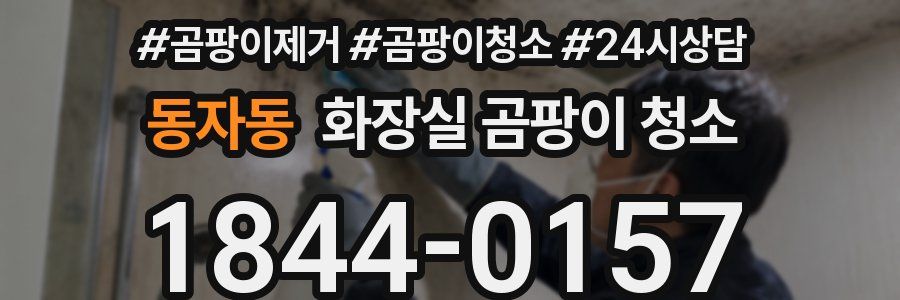 동자동 화장실 곰팡이 청소