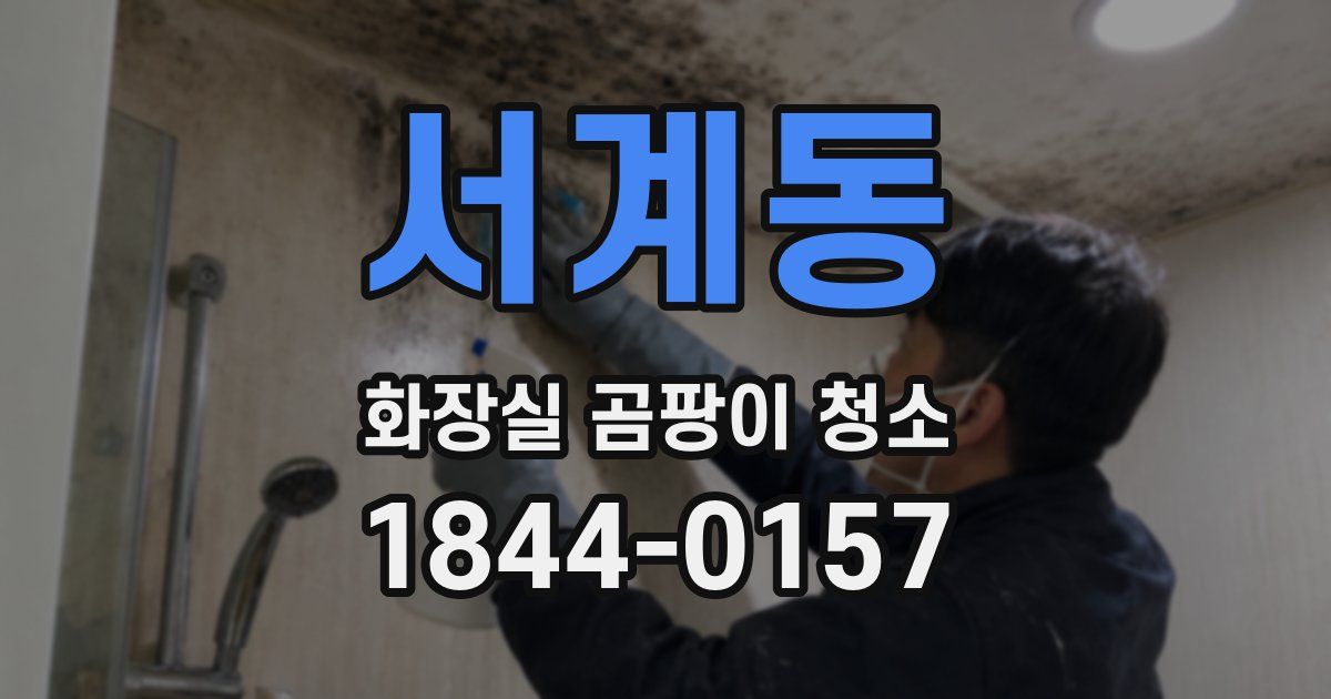 서계동 화장실 곰팡이 청소