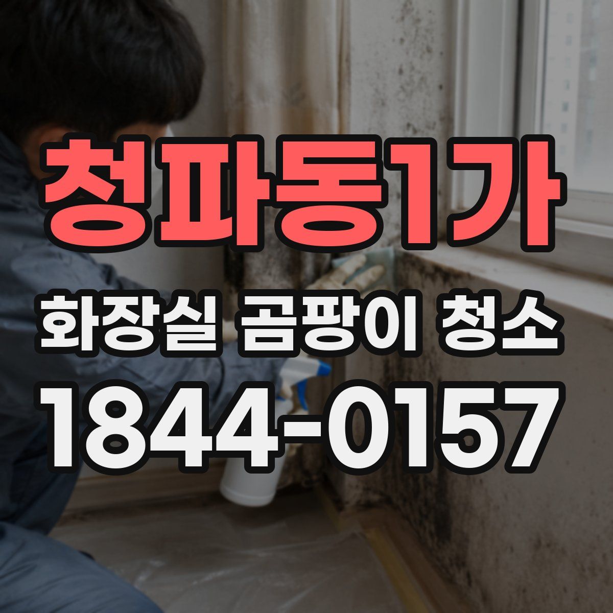청파동1가 화장실 곰팡이 청소