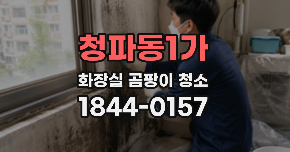 청파동1가 화장실 곰팡이 청소