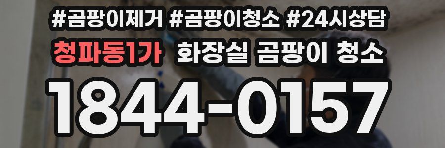 청파동1가 화장실 곰팡이 청소