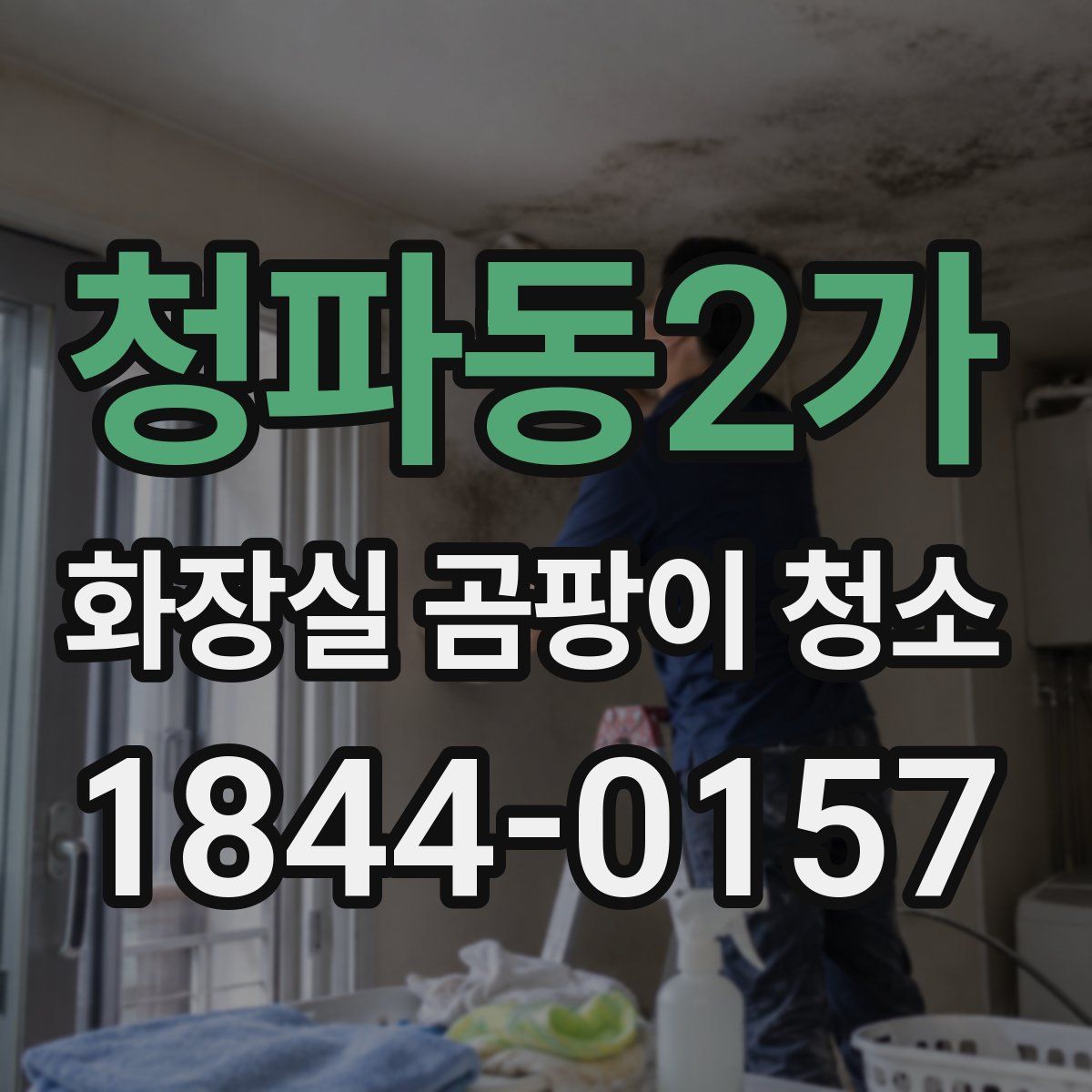 청파동2가 화장실 곰팡이 청소