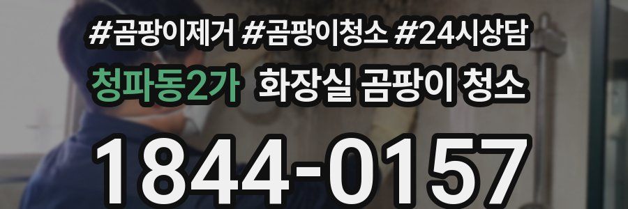 청파동2가 화장실 곰팡이 청소