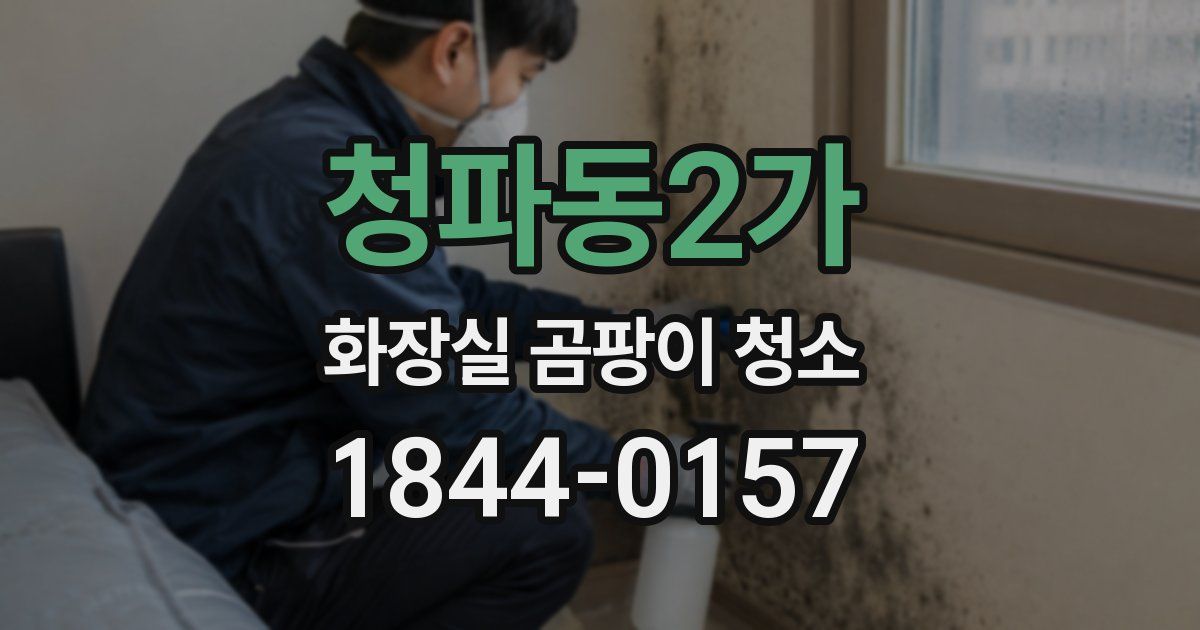 청파동2가 화장실 곰팡이 청소