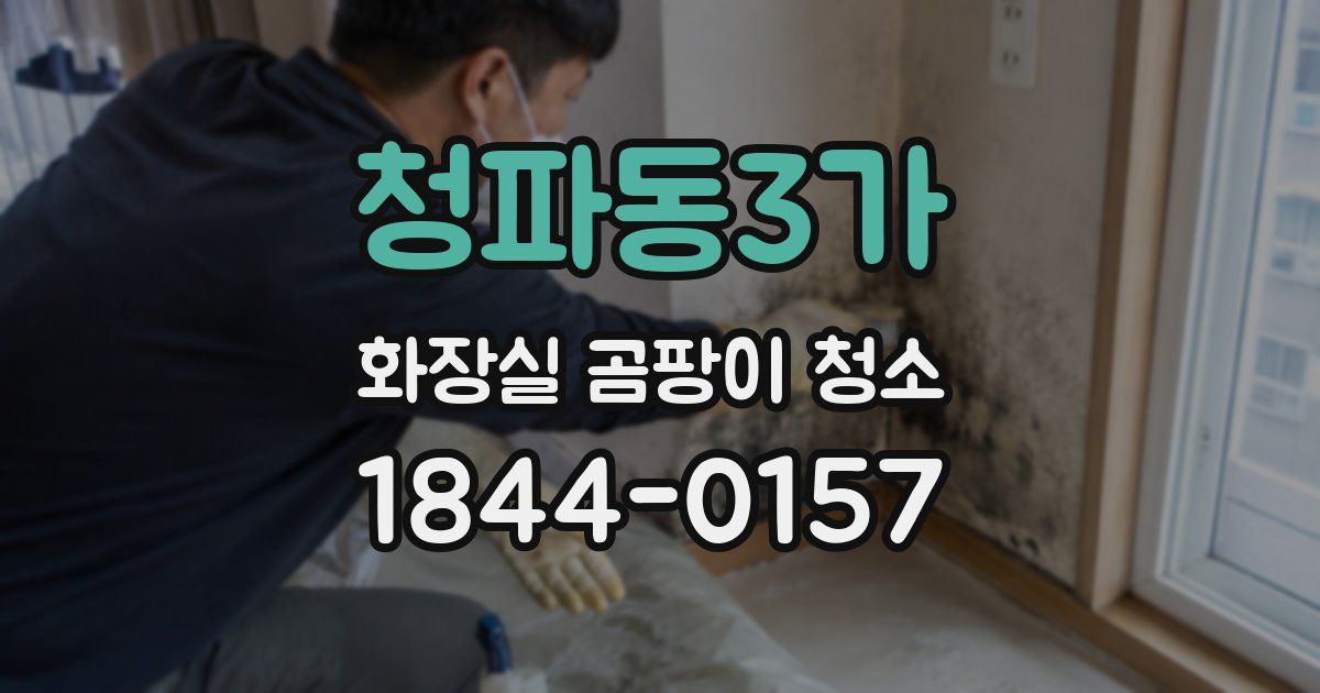 청파동3가 화장실 곰팡이 청소