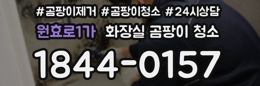 원효로1가 화장실 곰팡이 청소