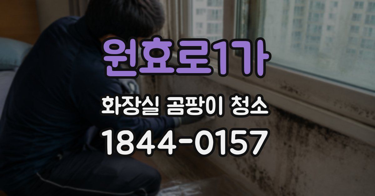 원효로1가 화장실 곰팡이 청소