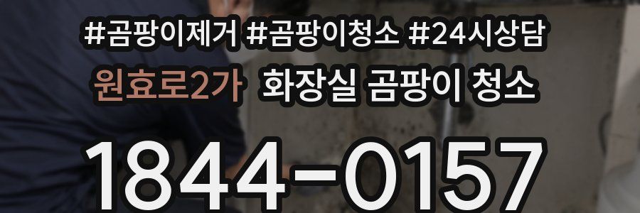 원효로2가 화장실 곰팡이 청소