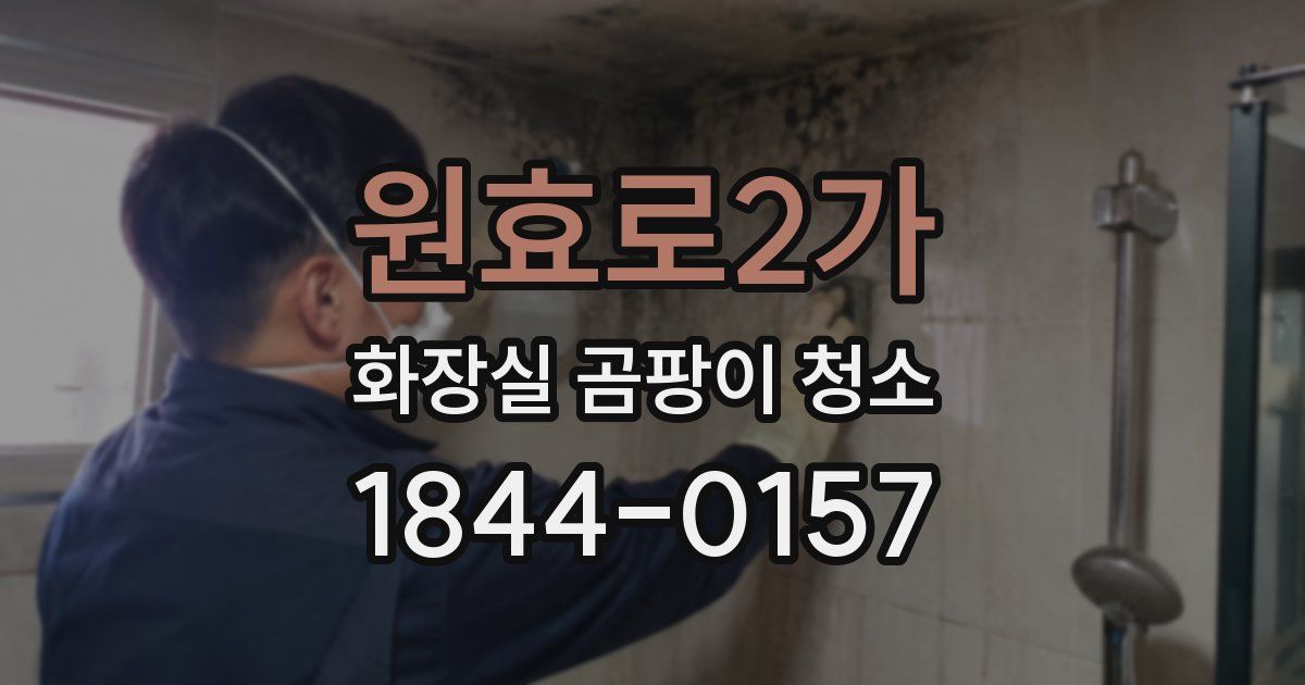 원효로2가 화장실 곰팡이 청소