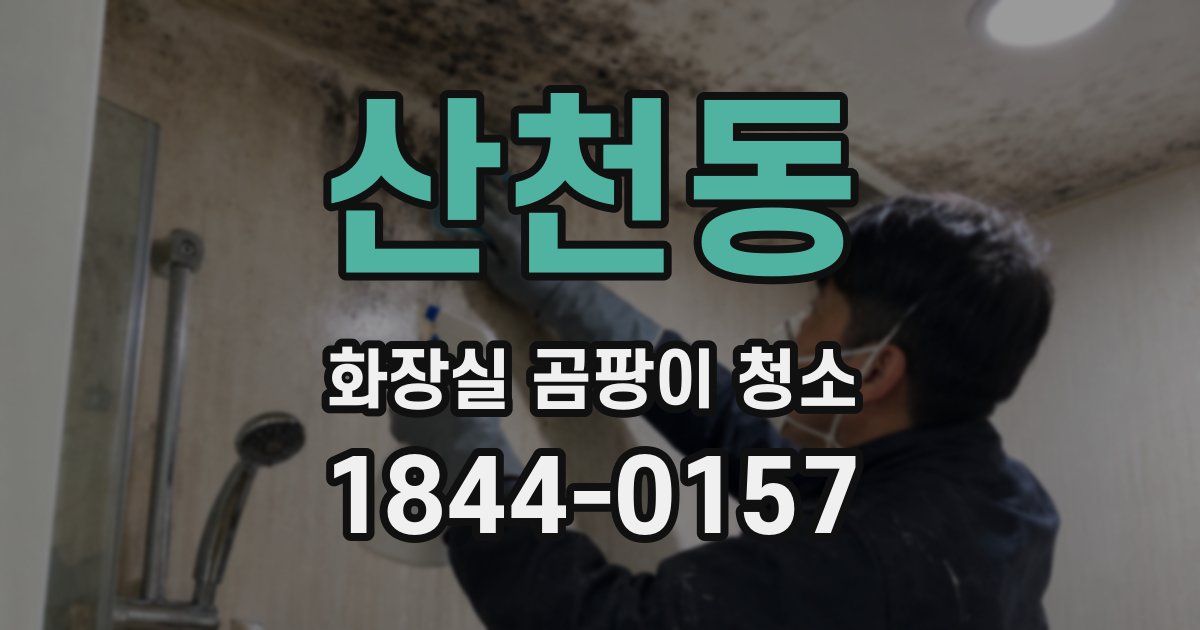 산천동 화장실 곰팡이 청소